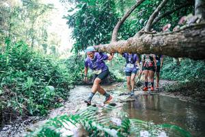 BIB: 
                            <button type="button" onclick="openModal(25443272)" class="btn btn-primary btn-sm float-right btn-popup" data-toggle="modal" data-target=".modal-high-quality">
                        <i class="fas fa-shopping-cart"></i> Add to Cart
                    </button>
                                            <button type="button" onclick="isThisMe(25443272, true)" class="btn btn-success btn-sm float-right btn-popup btn-isme hidden" data-toggle="tooltip" data-placement="bottom" title="นี่คือรูปของคุณใช่ไหม คลิกที่นี่เพื่อเอาเข้าอัลบั้ม">
                        <i class="fas fa-plus"></i> Add to album
                    </button>
                    <button type="button" onclick="isThisMe(25443272, false)" class="btn btn-warning btn-sm float-right btn-popup btn-isnotme hidden">
                        <i class="fas fa-ban"></i> Remove from album
                    </button>